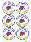 Ecusoane Scolare Personalizate - MCF SRL