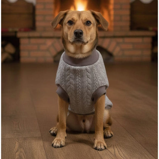 Haină pentru Câini din Jerse Elastic – Confort și Libertate de Mișcare - MCF România