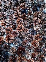 Conuri de brad lăcuite – decor de Crăciun MCF, accesorii naturale pentru aranjamente festive